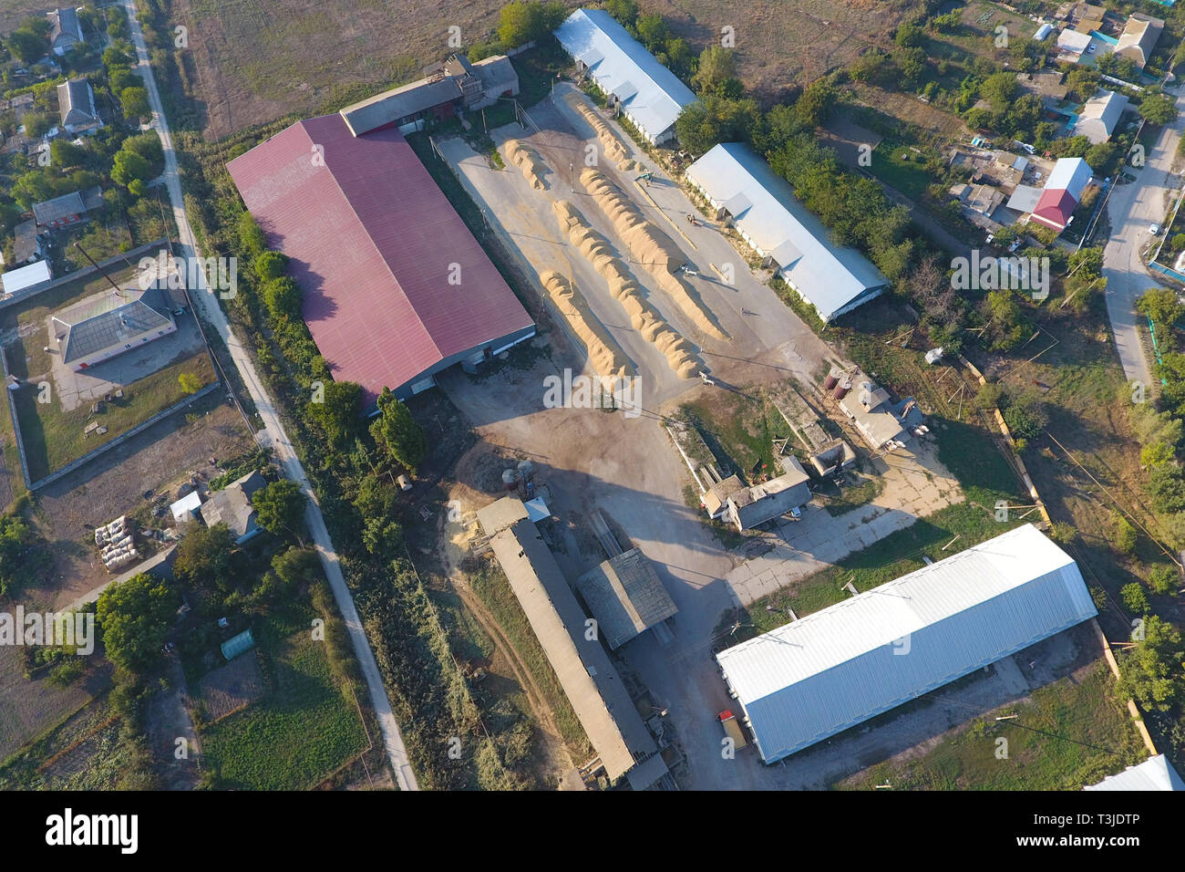 Hangar per stoccaggio di cereali. Una piattaforma di essiccamento e sinterizzazione di grani. La granella raccolta. Foto Stock