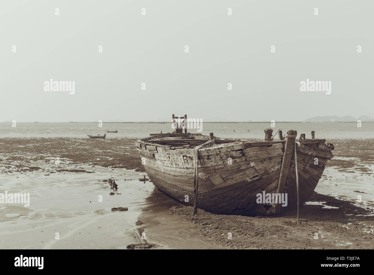 In legno antico relitto della nave essiccato sul mare maree .naufragio vintage del tono di colore. Foto Stock