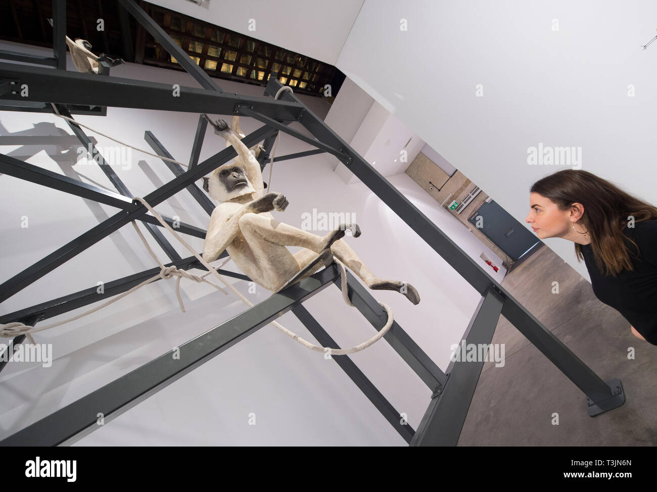 Londra, Regno Unito. 10 Aprile, 2019. Tamasha, 2013, un'installazione di più grandi di quelle di lifesize scimmie da NS Harsha a Victoria Miro Gallery Wharf Road, che appaiono in scala di un ponteggio di grandi dimensioni la struttura simile a. Credito: Malcolm Park/Alamy Live News. Foto Stock