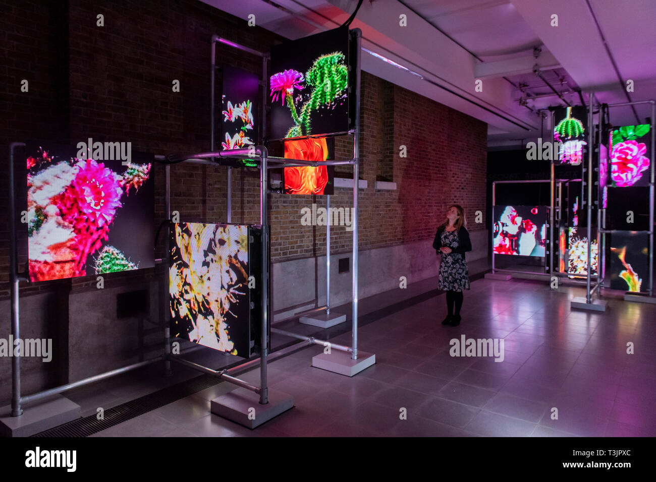 Londra, Regno Unito. Decimo Apr, 2019. Hito Steyerl è di nuovo progetto presso la Serpentine Sackler gallerie. Il suo lavoro considera la potenza e la disuguaglianza nella società, mappatura ineguale distribuzione della ricchezza nelle comunità che circonda la serpentina che è stata registrata come uno dei più socialmente aree irregolari in Europa. Credito: Guy Bell/Alamy Live News Foto Stock