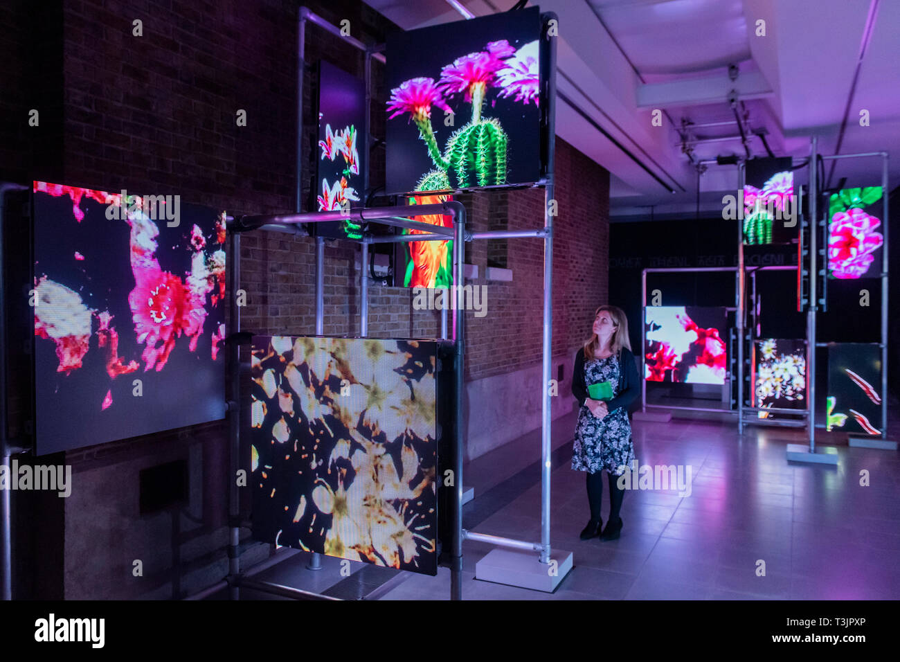 Londra, Regno Unito. Decimo Apr, 2019. Hito Steyerl è di nuovo progetto presso la Serpentine Sackler gallerie. Il suo lavoro considera la potenza e la disuguaglianza nella società, mappatura ineguale distribuzione della ricchezza nelle comunità che circonda la serpentina che è stata registrata come uno dei più socialmente aree irregolari in Europa. Credito: Guy Bell/Alamy Live News Foto Stock