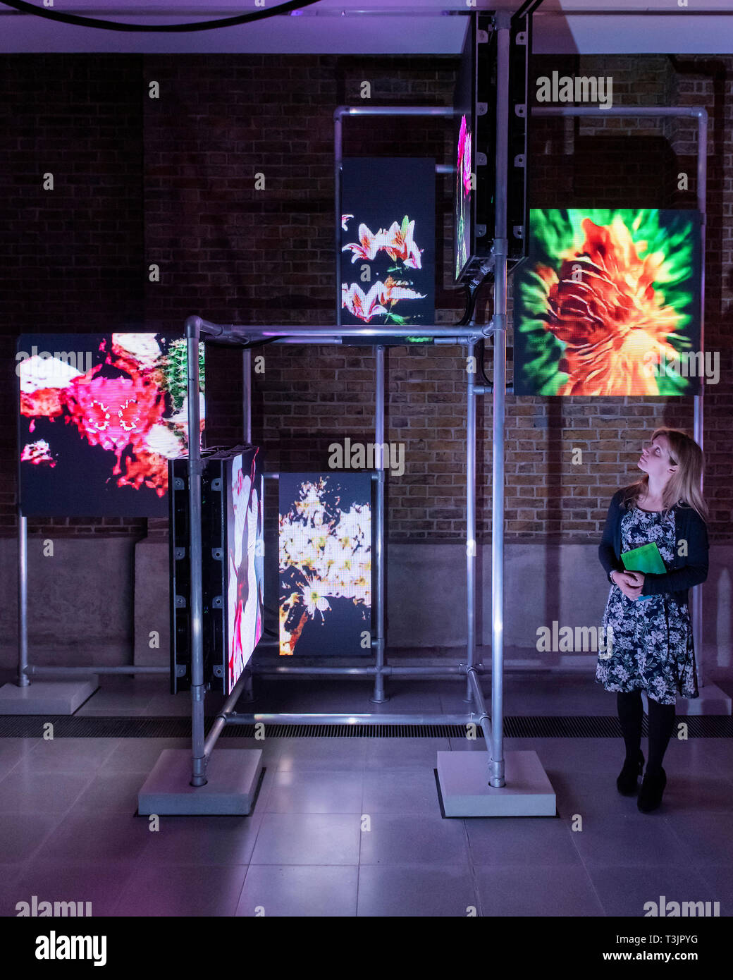 Londra, Regno Unito. Decimo Apr, 2019. Hito Steyerl è di nuovo progetto presso la Serpentine Sackler gallerie. Il suo lavoro considera la potenza e la disuguaglianza nella società, mappatura ineguale distribuzione della ricchezza nelle comunità che circonda la serpentina che è stata registrata come uno dei più socialmente aree irregolari in Europa. Credito: Guy Bell/Alamy Live News Foto Stock