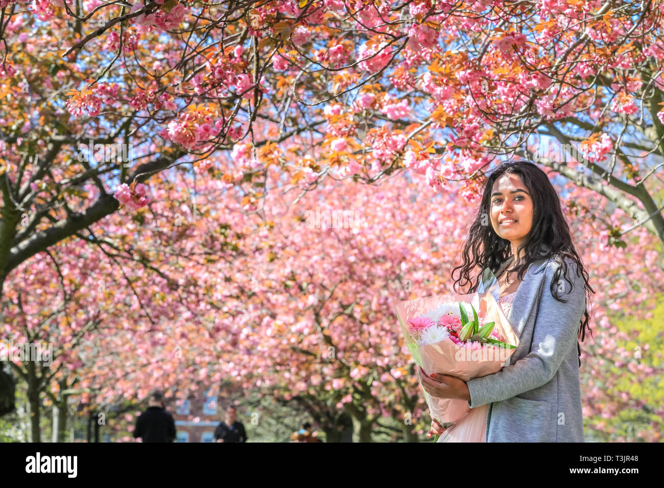Greenwich, Londra, UK, 10 aprile 2019. Un paio di prendere i loro fiori di ciliegio foto completa con abito rosa e fiori, dopo aver viaggiato per la seconda volta come pioggia significava la loro foto non era bello come ieri. Persone da ammirare e prendere scatta di rosa fiori di ciliegio che ora è in piena fioritura. I visitatori viaggiano spesso soprattutto per vedere il ben noto 'Cherry Blossom Alley' nel parco di Greenwich, Londra. Credito: Imageplotter/Alamy Live News Foto Stock