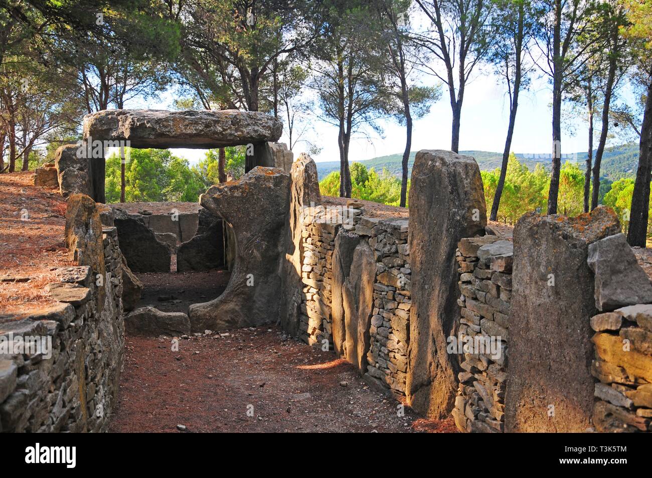 Tomba, Dolmen des dissolvenze, in Pepieux, HÃ©rault, regione di Occitania, Francia Meridionale, Europa Foto Stock