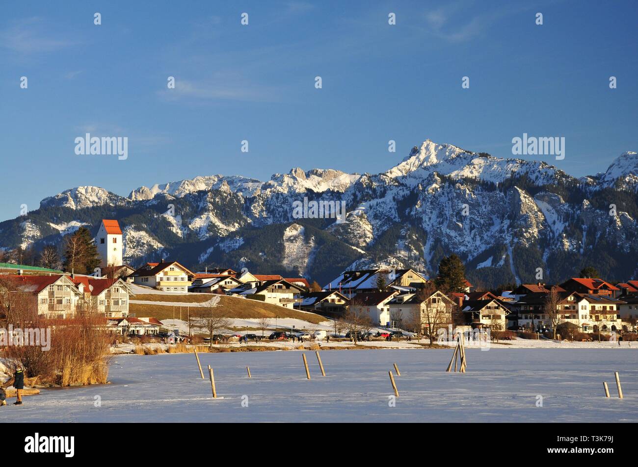 Luppolo sul Lago Hopfensee congelato, FÃ¼ssen, sullo sfondo la SÃ¤uling (2047 m), Svevia, Baviera, Germania, Europa Foto Stock