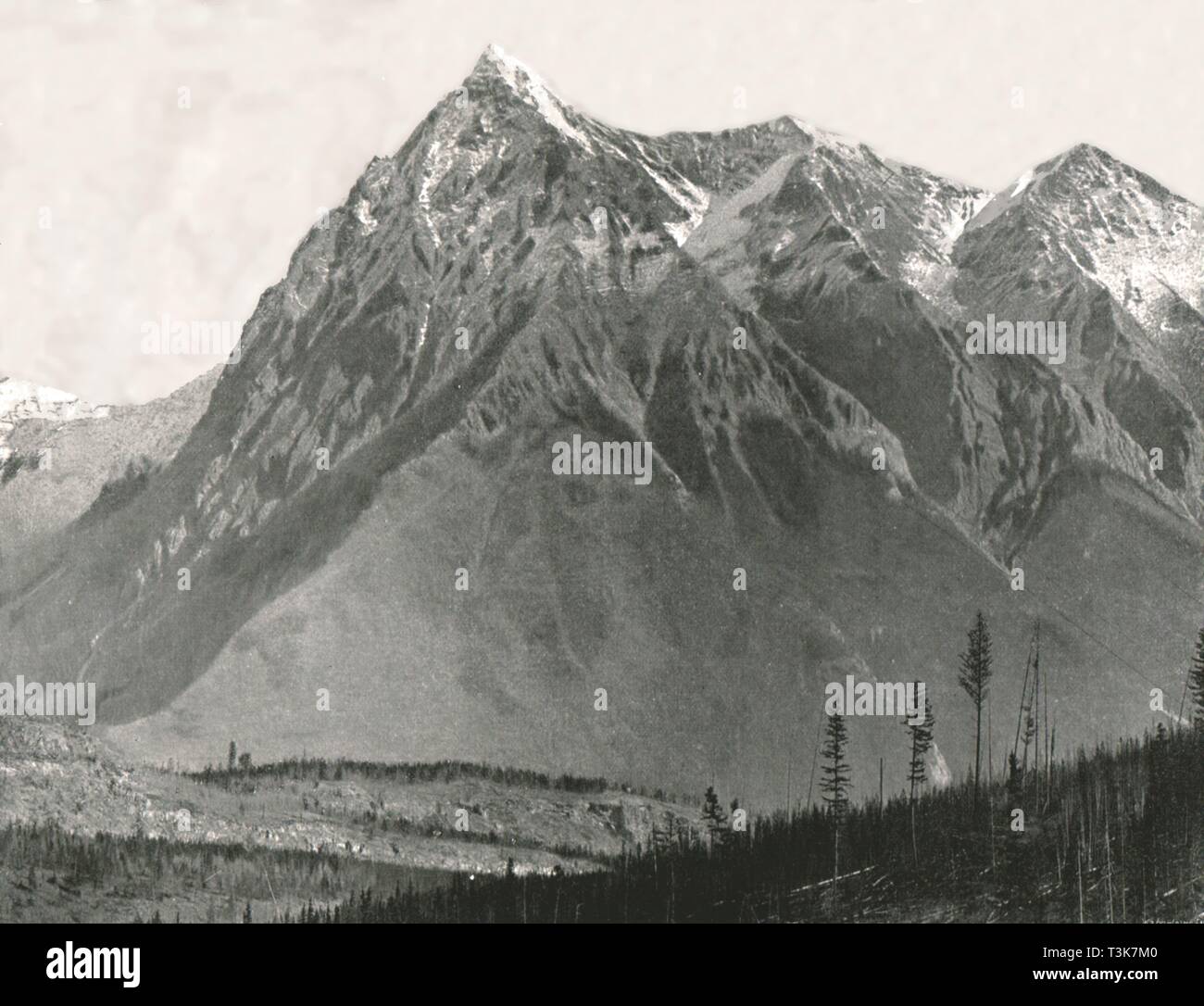 Le Montagne Rocciose: Cancelliere picco, Leanchoil, Canada, 1895. Creatore: William Notman & Figlio. Foto Stock