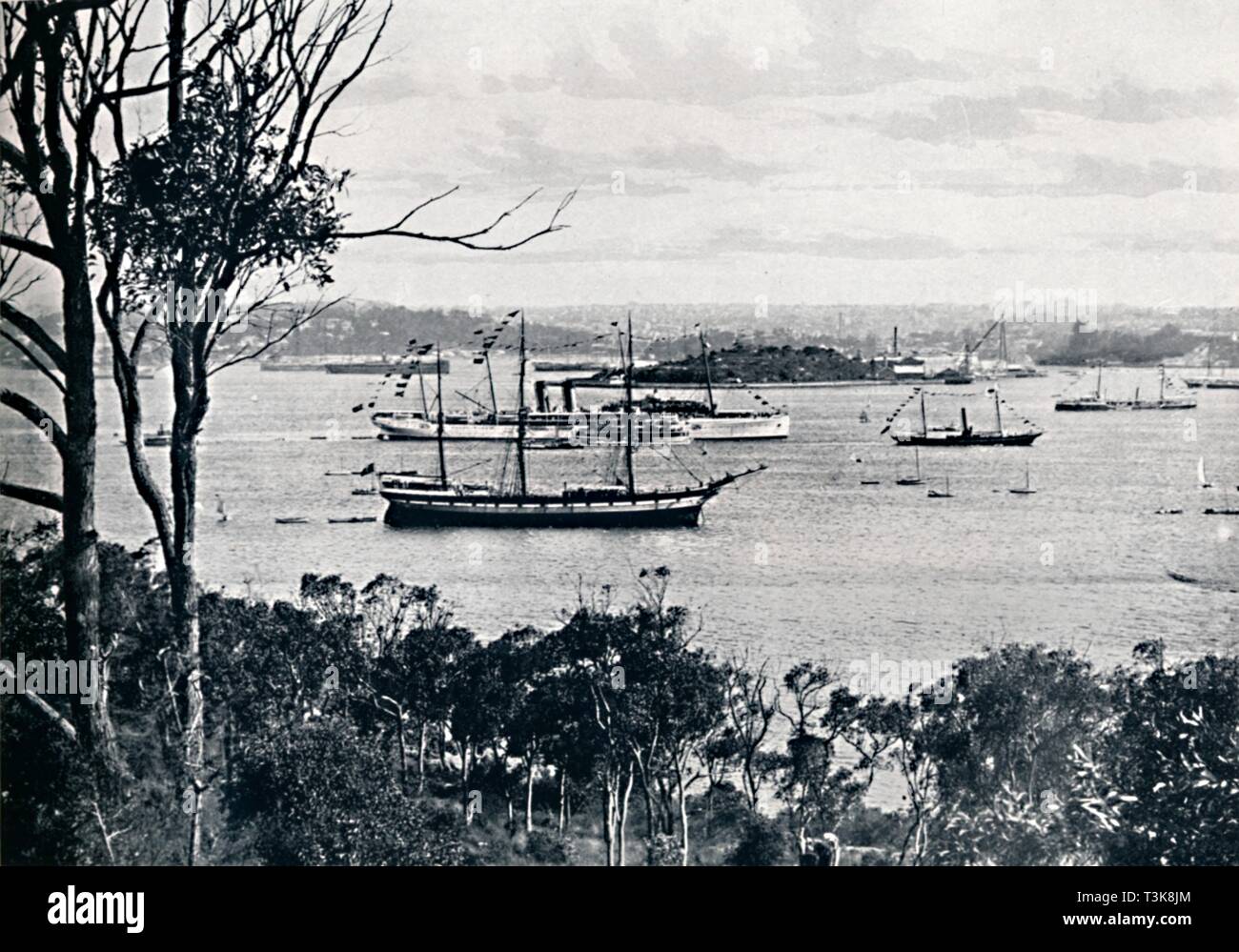 'Vista Porto di Sydney da North Shore, No. 1, c1900. Creatore: sconosciuto. Foto Stock