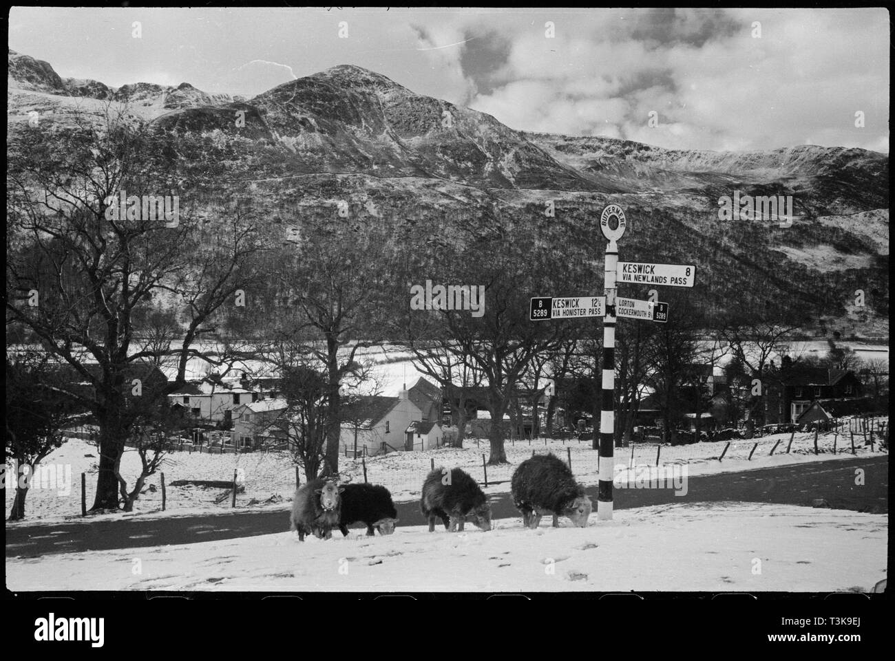 Buttermere, Cumbria, C1955-c1980. Creatore: Ursula Clark. Foto Stock