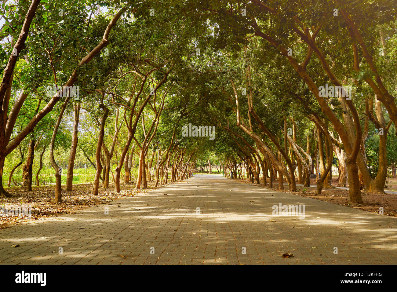 Bella passeggiata panoramica del parco Yizai intorno con alberi in Tainan City, Taiwan. Foto Stock