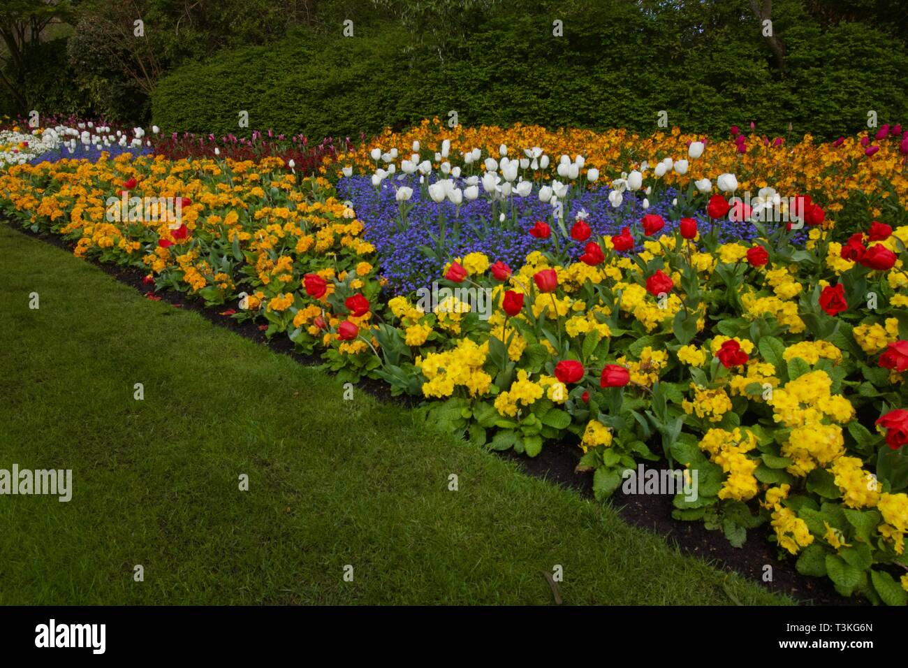 Aiuola che mostra bellissimo assortimento di coloratissimi piante da fiore Foto Stock