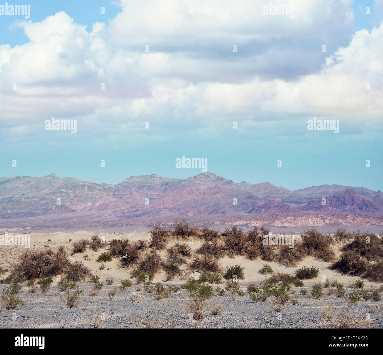 Mesquite dune nel Parco Nazionale della Valle della Morte, California, Stati Uniti d'America. Foto Stock