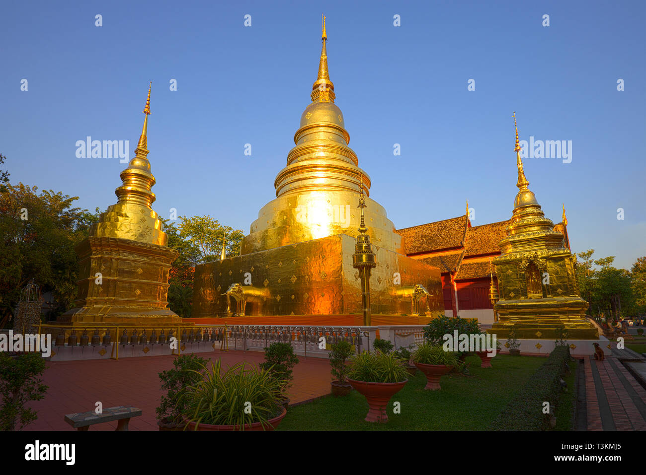 Golden chedi del tempio buddista di Wat Phra Singh su una soleggiata sera. Chiag Mai, in Tailandia Foto Stock