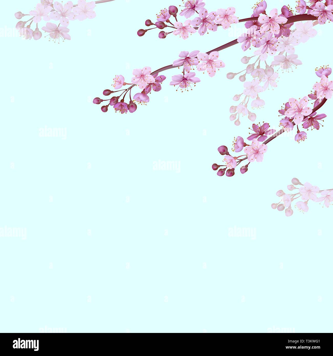 Cinese realistico rosa sakura background sul morbido cielo blu sullo sfondo. Modello Oriental Blossom fiore primavera sfondo. 3D natura vettore di sfondo Illustrazione Vettoriale