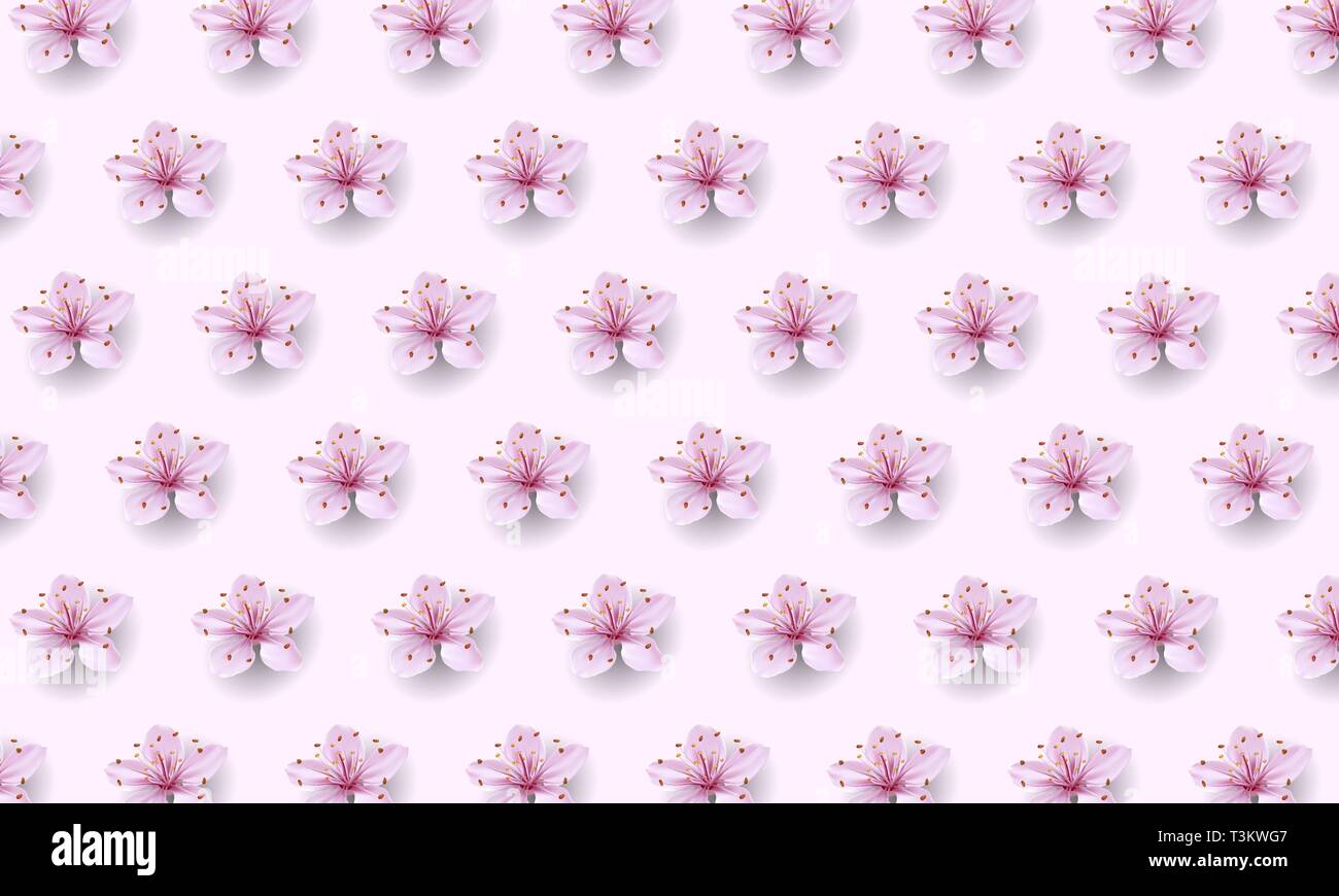 Cinese realistico rosa sakura pattern sul morbido sfondo rosa. Oriental textile design modello sbocciare fiori di primavera sullo sfondo. 3D sfondo natura Illustrazione Vettoriale