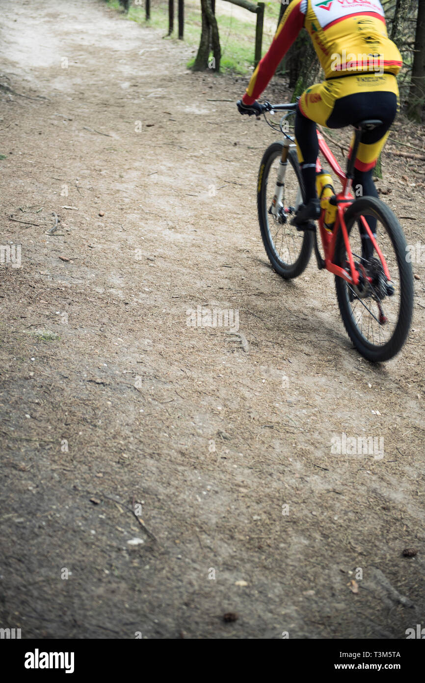 Uomo che guida una mountain bike lungo un sentiero in una foresta nei Paesi Bassi Foto Stock