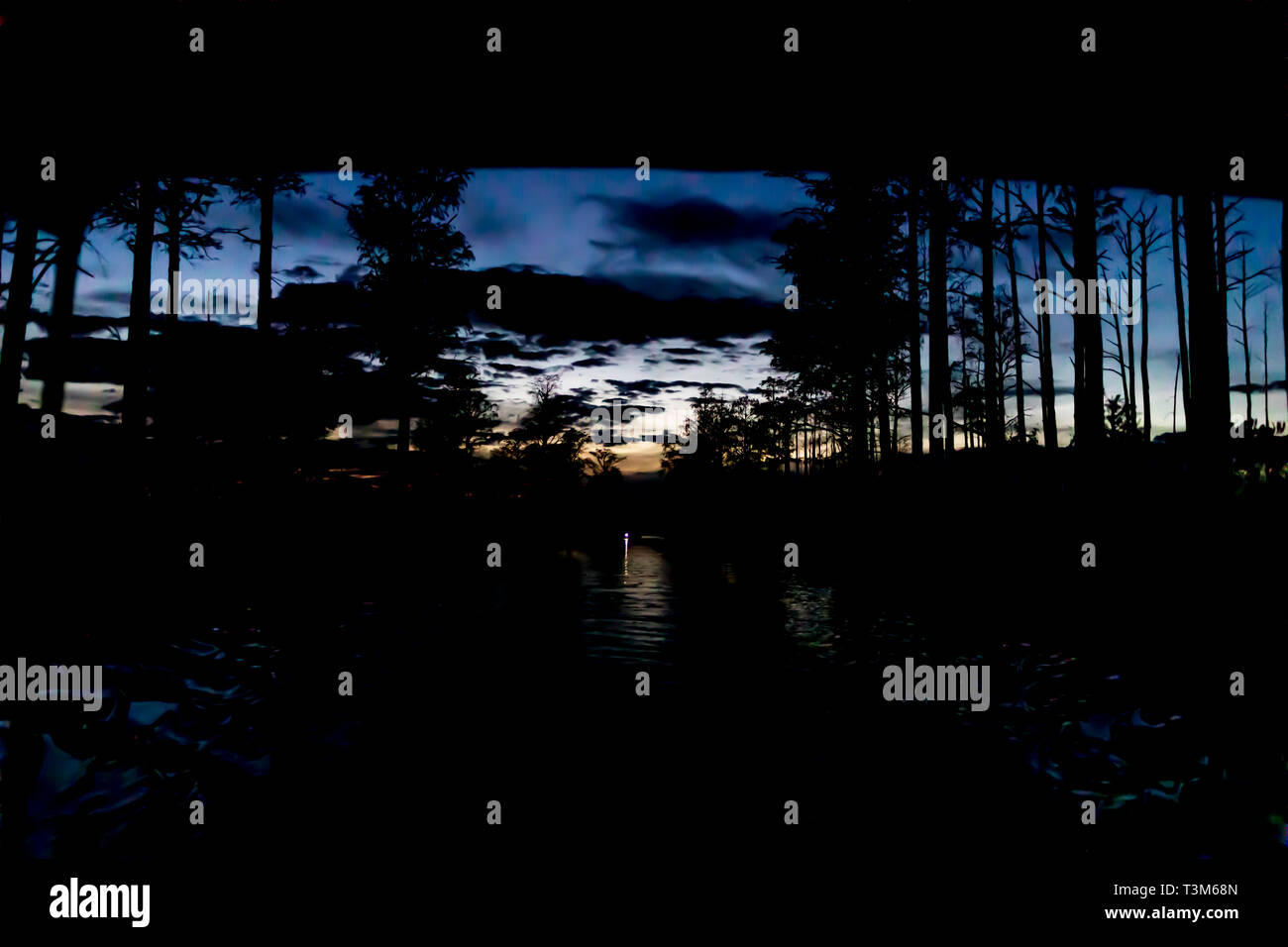 Okefenokee Swamp con il resto del tramonto del sole dopo il buio; barca luce in distanza. Profondo cielo blu, silhouette della foresta, lo sbiadimento di luce arancione. Foto Stock