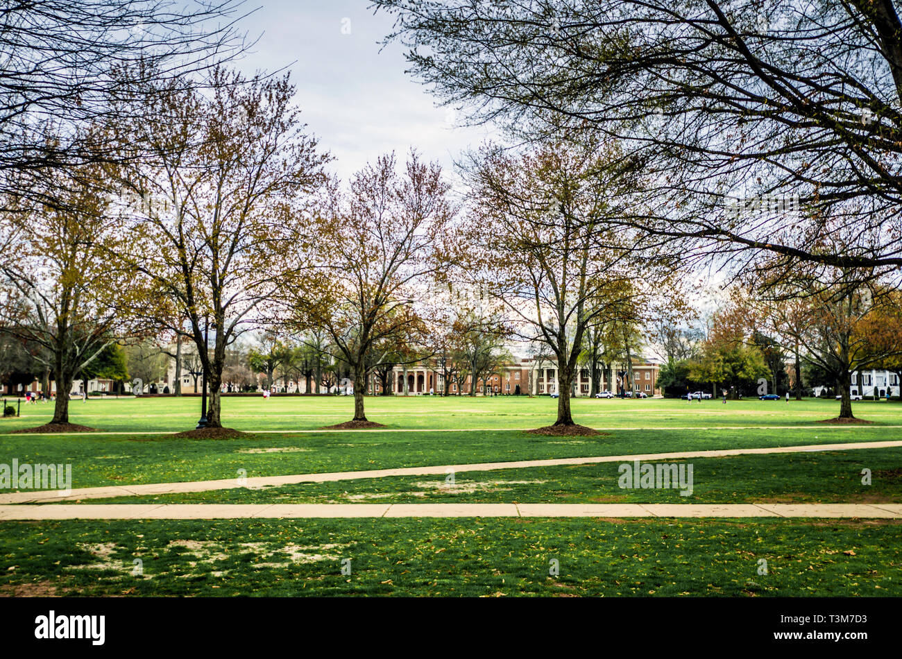 La University of Alabama il quadrangolo, noto come il quad, offre 22 ettari di spazio verde per gli studenti la ricreazione e relax in Tuscaloosa, Alabama. Foto Stock