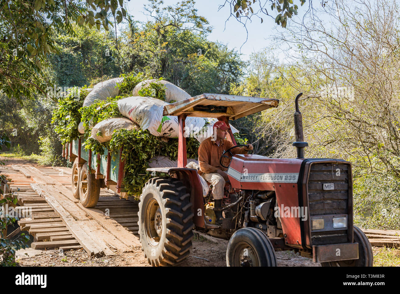 Colonia Independencia, Paraguay - Giugno 20, 2018: Contadino con trattore in Paraguay rigidi su un avvolgimento ponte di legno. Foto Stock