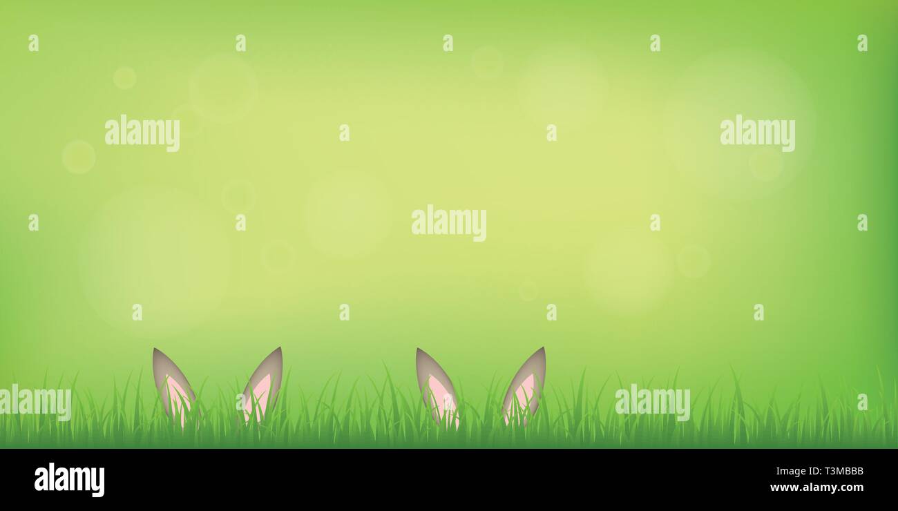 Giovane lepre orecchie di coniglietto nascondere nel prato verde primavera sfondo illustrazione vettoriale EPS10 Illustrazione Vettoriale