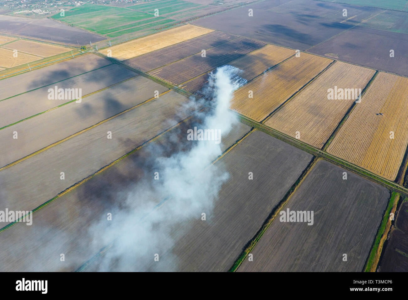 La combustione di paglia di riso nei campi. Il fumo derivante dalla combustione di paglia di riso nei controlli. Il fuoco sul campo. Foto Stock