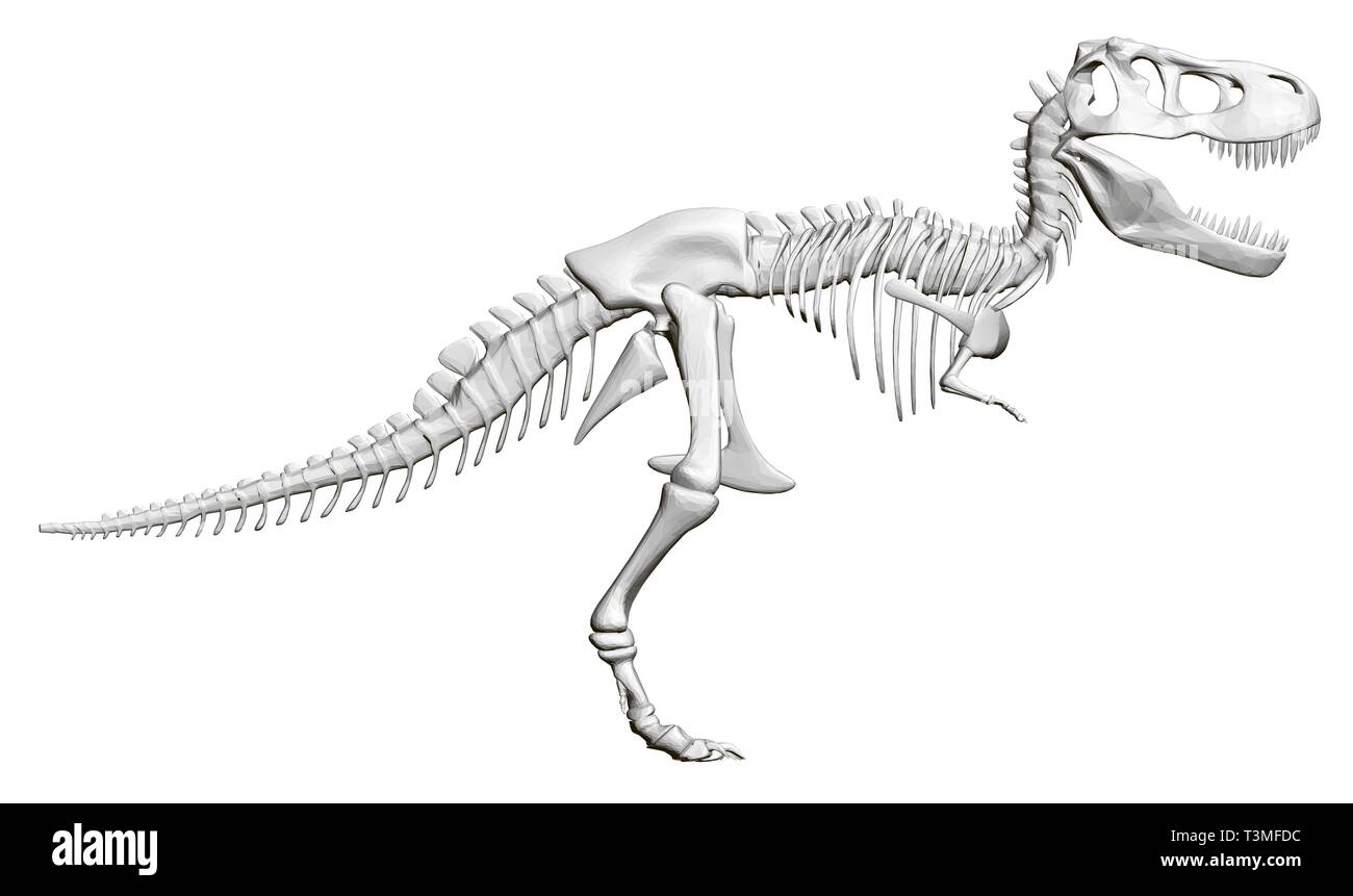 Scheletro di dinosauro. Vista laterale. 3D. Illustrazione Vettoriale Illustrazione Vettoriale