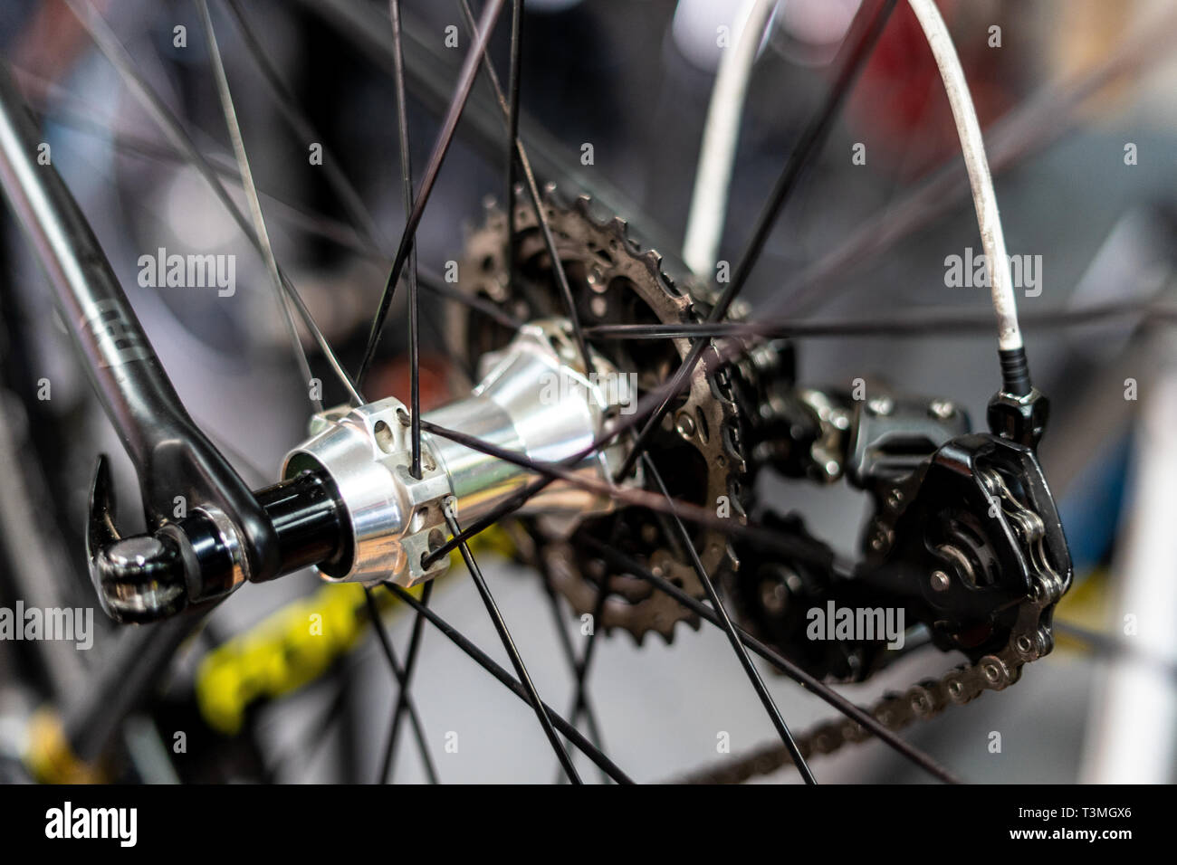 Bicicletta da strada posteriore mozzo ruota con velocità multipla la cassetta e la catena con razze e cerchio Foto Stock