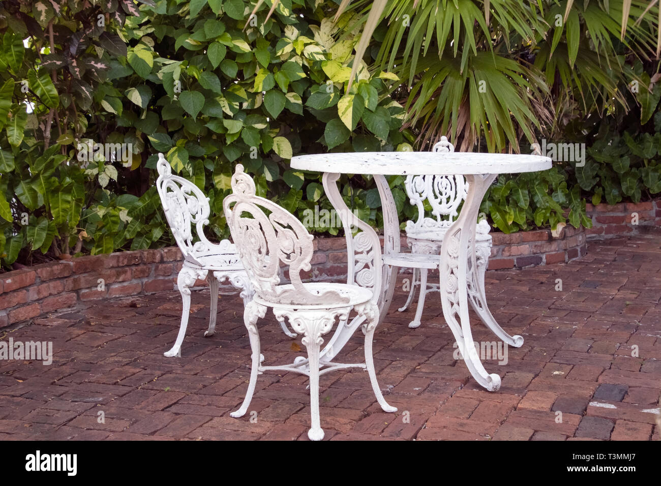 Bianchi ornati in ferro battuto tavolo e sedia impostato su mattone patio nel giardino tropicale Foto Stock
