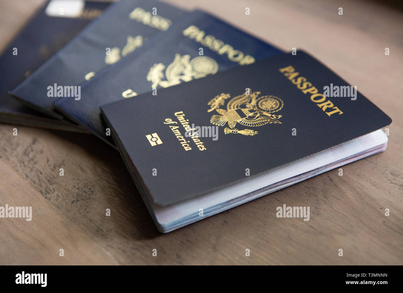 Stati Uniti d'America Passaporto Foto Stock