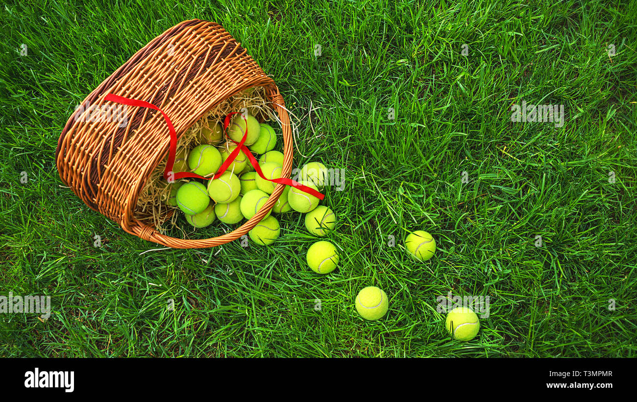 Tennis Pasqua con le palline da tennis in un cesto su erba verde. Messa a  fuoco selettiva, copia dello spazio Foto stock - Alamy