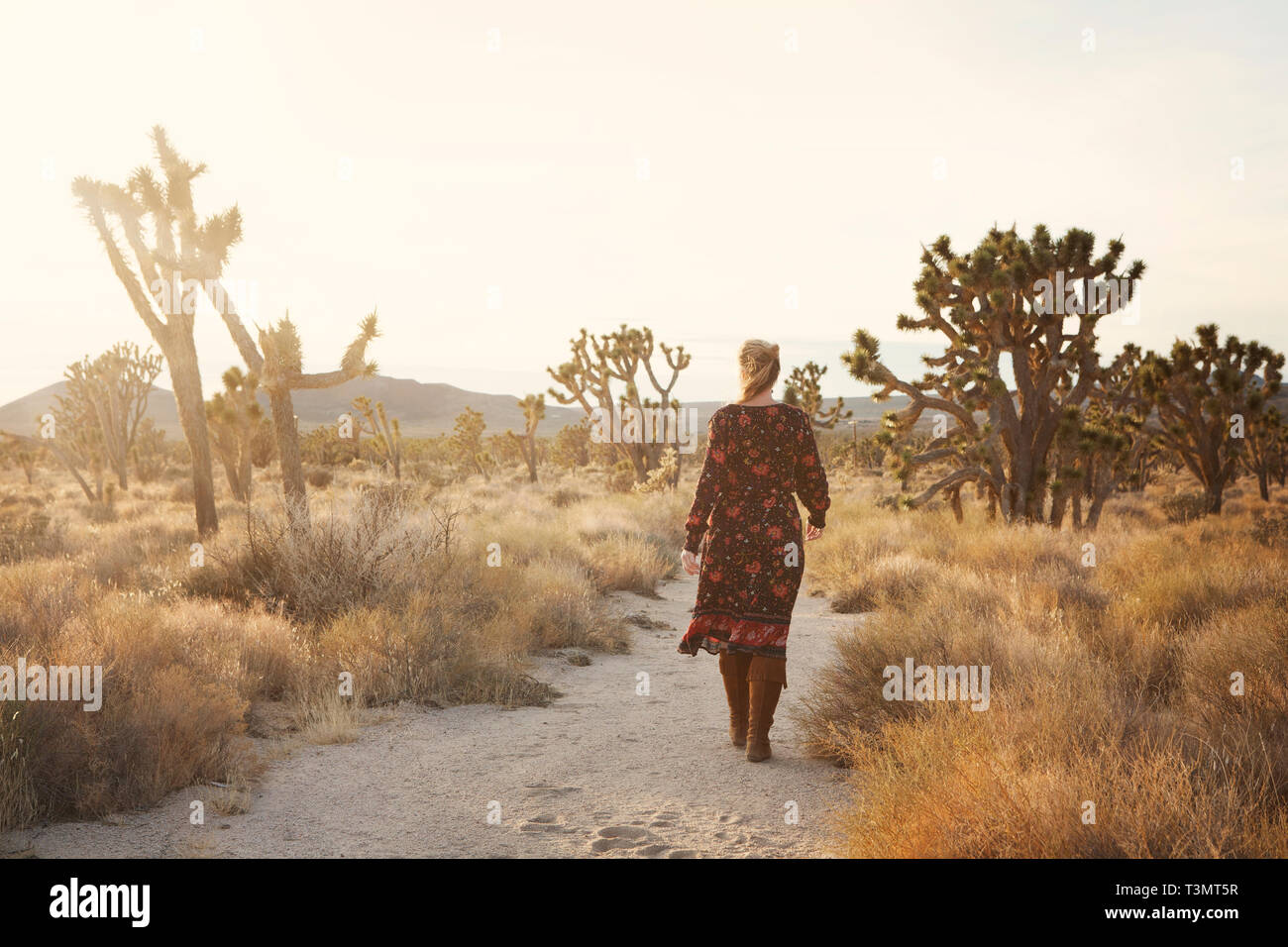 La donna a piedi in Mojave National Preserve Foto Stock