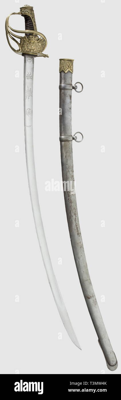 Armi, Sabre, secolo XIX, Editorial-Use-solo Foto Stock