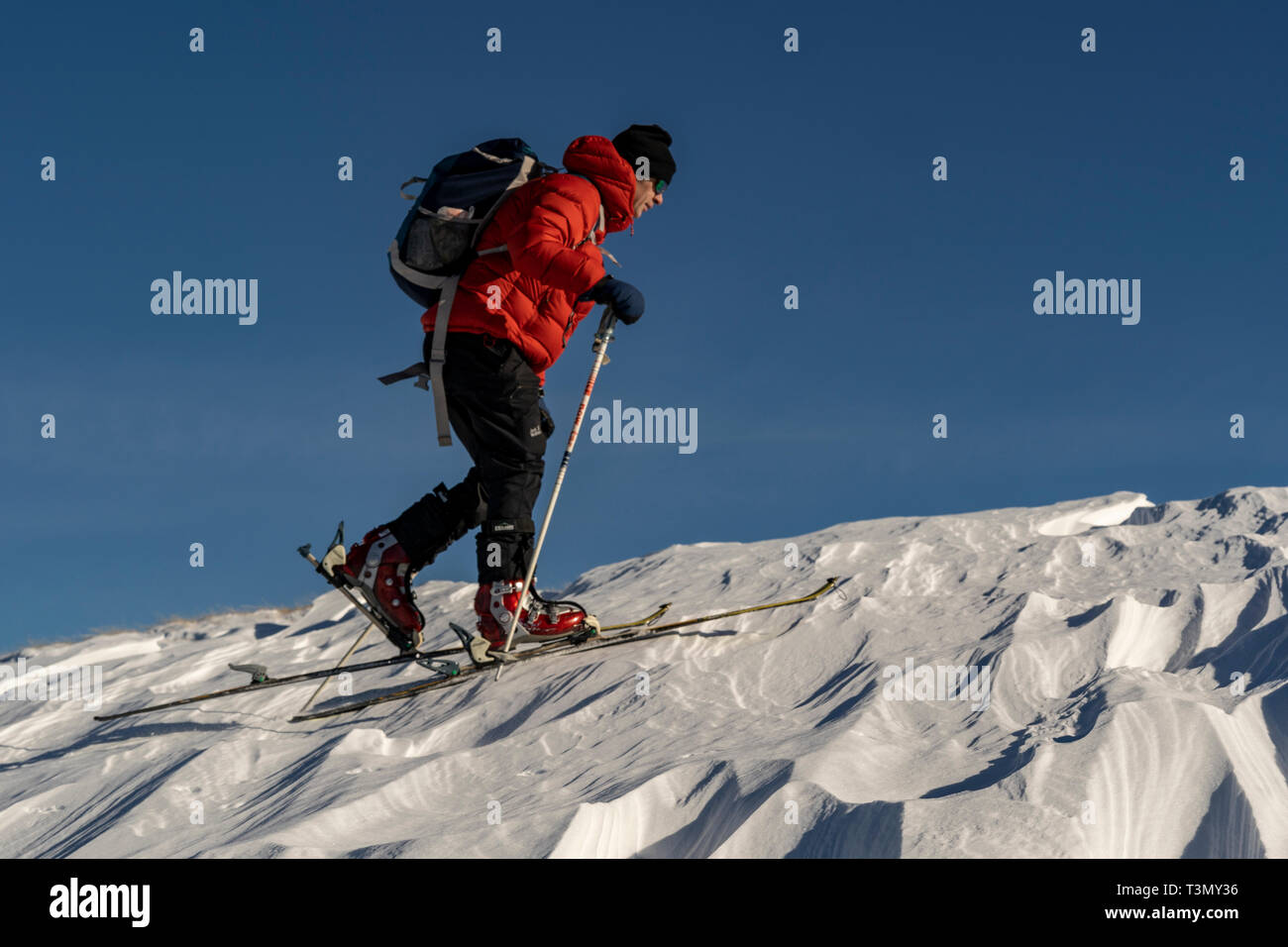 Maschio di backcountry rider ascende sulle pendici del Vertice Tarcu, Romania Foto Stock