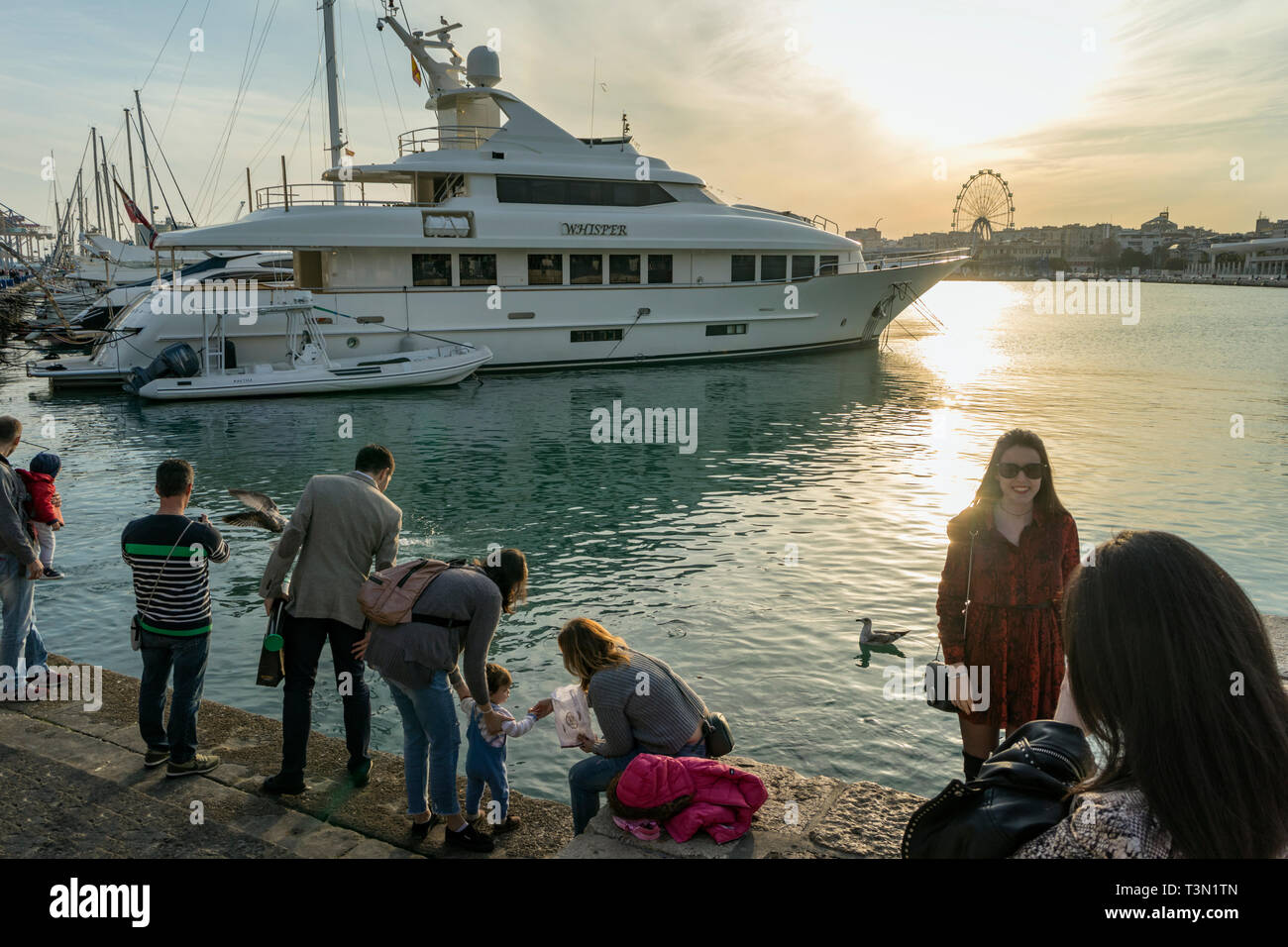 El Muelle Onu. Famiglia alimentazione di uccelli e di pesci. Scattare fotografie. Malaga, Costa del Sol, provincia di Malaga, Andalusia, Spagna meridionale. Foto Stock