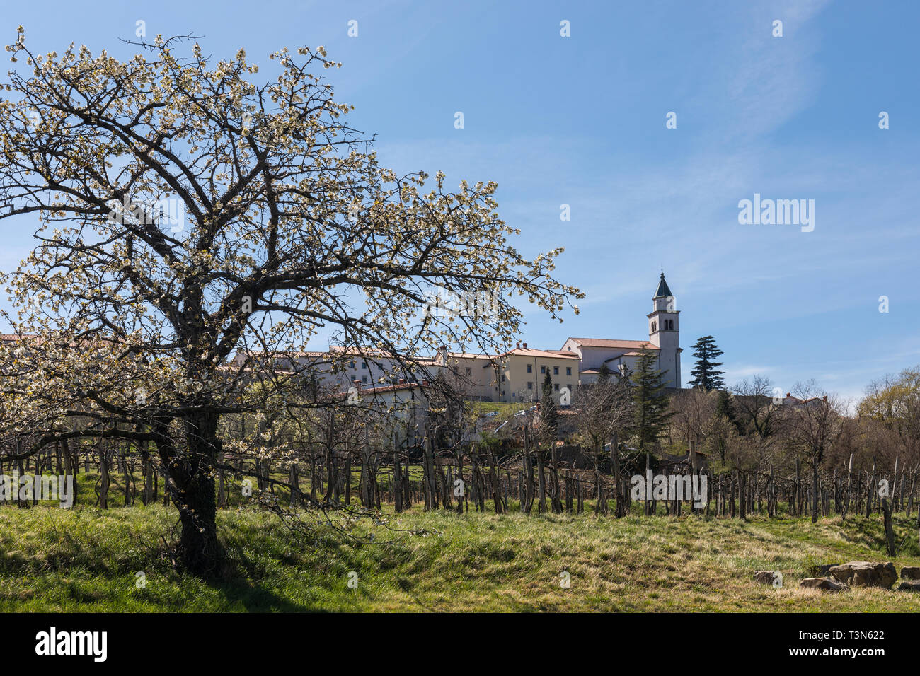 Vipavski Kriz, un borgo medievale nella Valle del Vipava, Slovenia Foto Stock