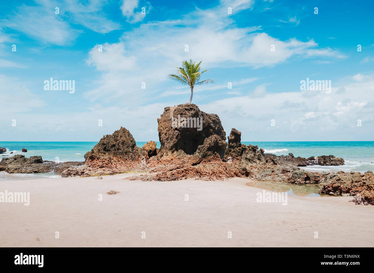 Vista Di Praia De Tambaba Beach Costa Do Conde Famosa