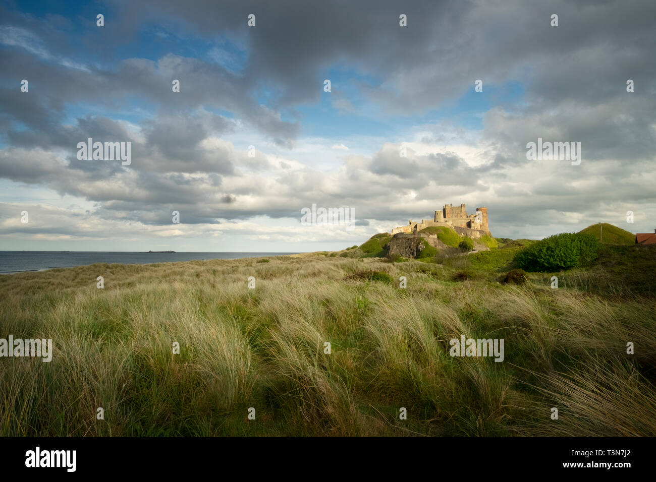 Il castello di Bamburgh e farne isole sull'orizzonte, Northumberland, Inghilterra, Regno Unito (Maggio 2017) Foto Stock