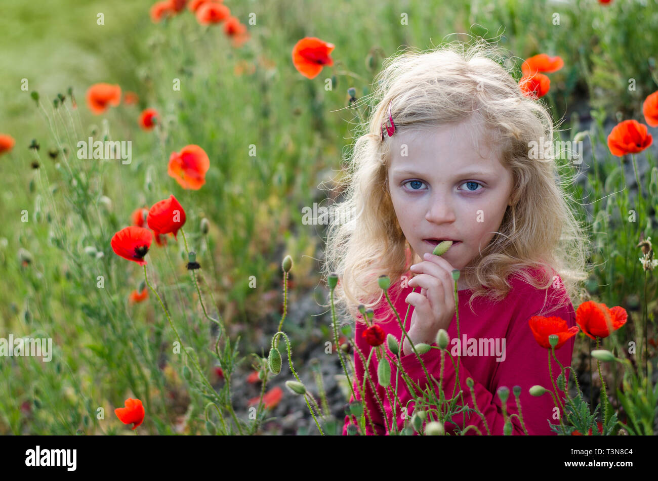 Ragazza bionda con i capelli lunghi e fiori di colore rosso Foto Stock