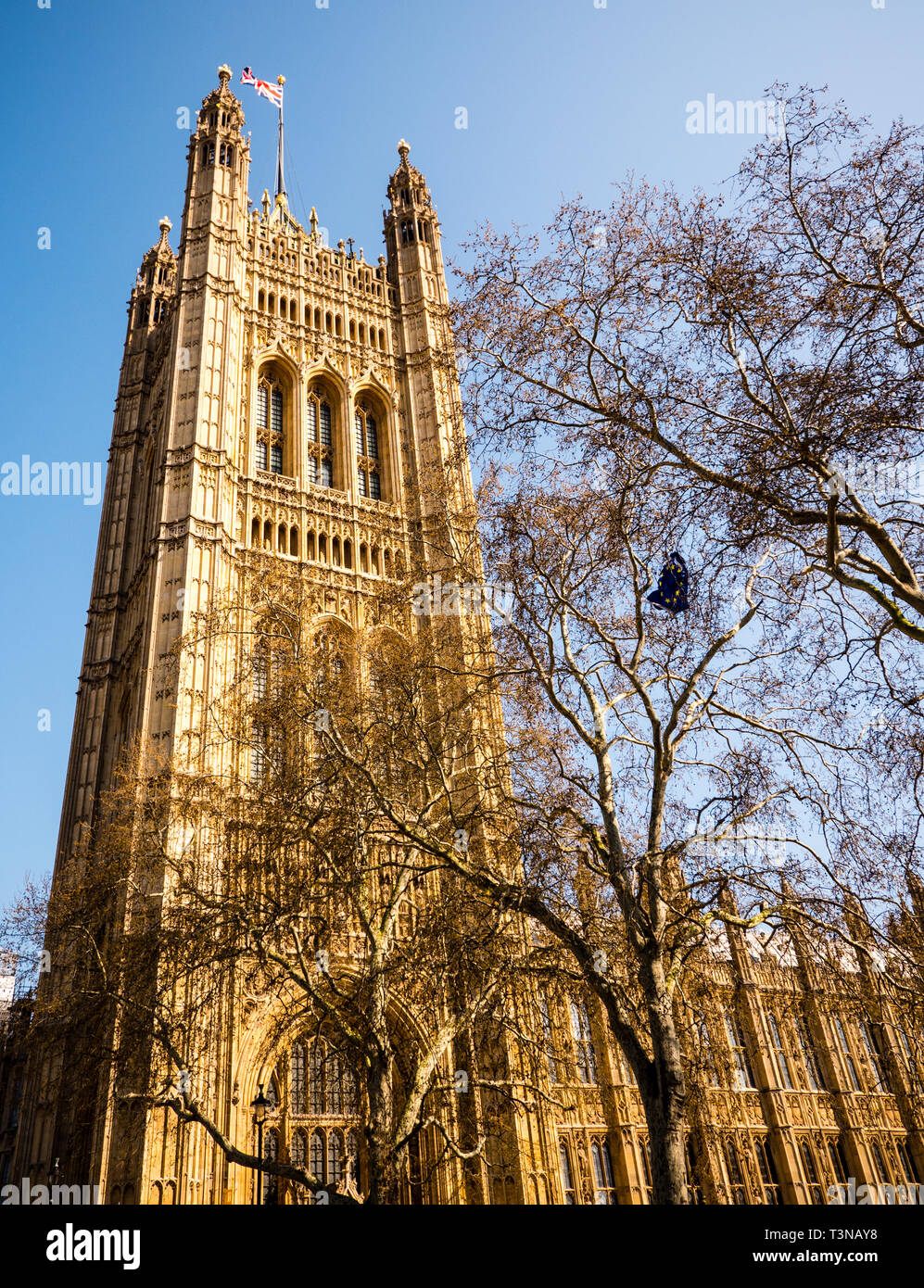 Rip Flagg UE su albero a Palazzo di Westminster, la Casa del Parlamento, Westminster, London, England, Regno Unito, GB. Foto Stock