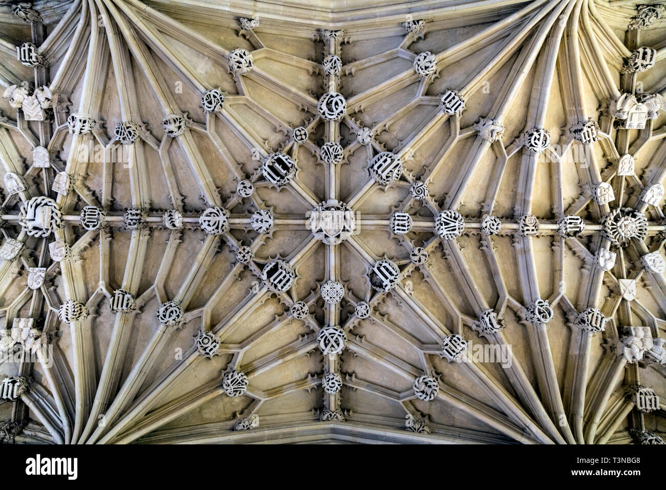 Il soffitto della divinità School in Oxford, Regno Unito Foto Stock