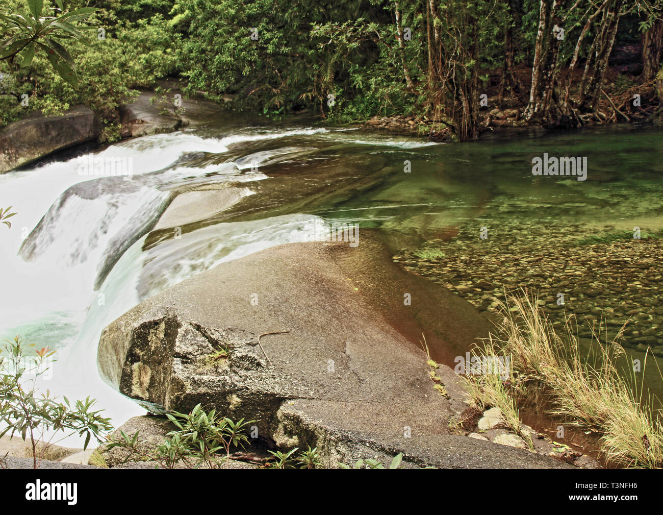 Crystal clear mountain runoff di acqua di Babinda Creek che scorre sulle rocce al Massi Babinda Foto Stock