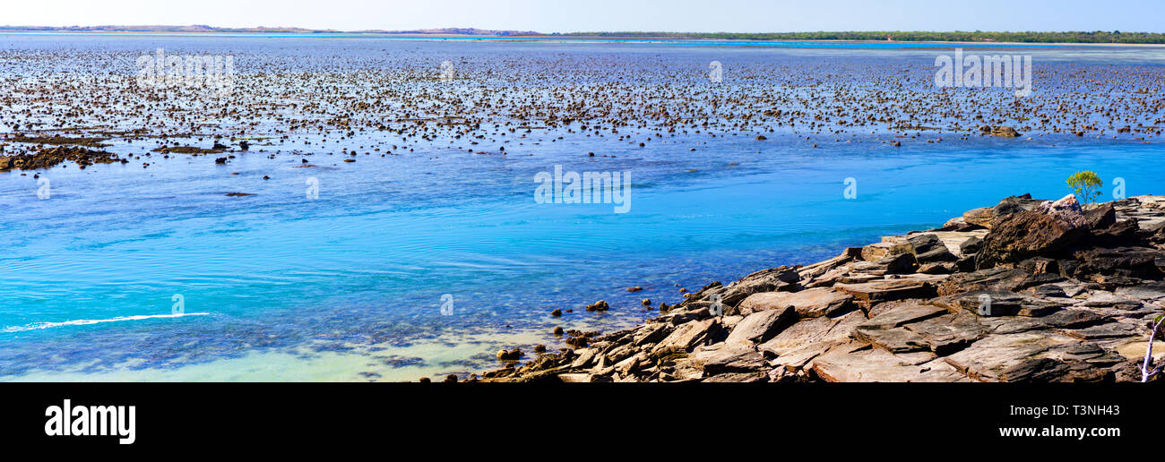 Esposti reef e rocce a bassa marea a Cape Leveque, Dampier Peninsula, Australia occidentale Foto Stock