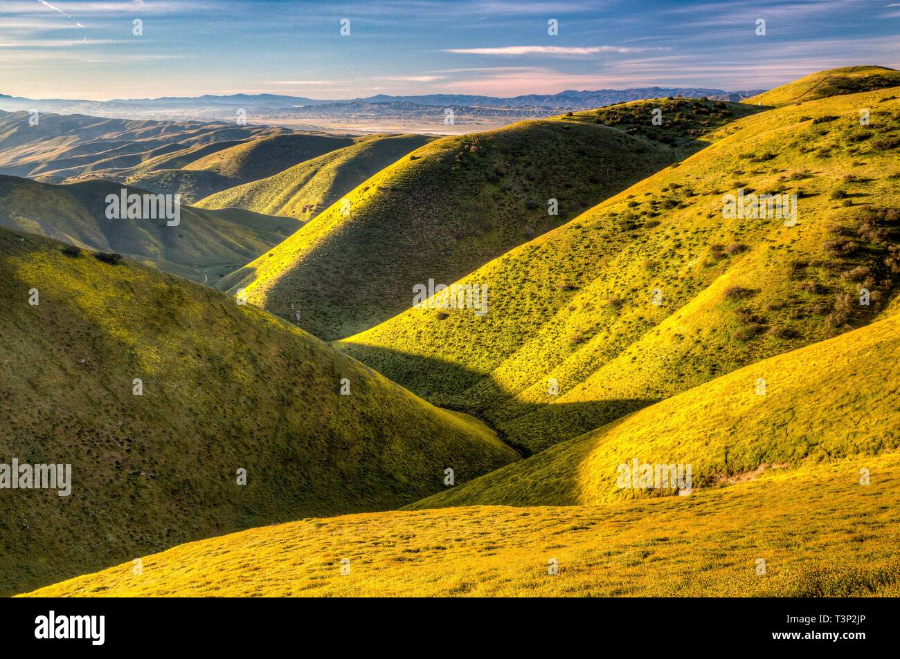 San Luis Obispo County, California, Stati Uniti d'America. 10 Aprile, 2019. Coperchio di fiori di campo normalmente colline sterili di Carrizo Plain monumento nazionale durante il super bloom Aprile 10, 2019 in San Luis Obispo County, California. Dopo diverse settimane di un sorprendente display super bloom è atteso a svanire come le temperature cominciano a salire nella regione. Credito: Planetpix/Alamy Live News Foto Stock