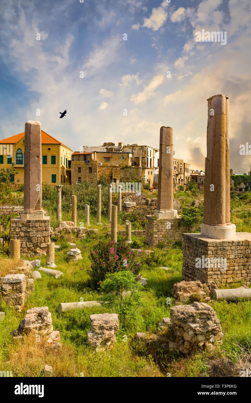 Rovine romane pneumatico Sur nel sud del Libano medio oriente Foto Stock