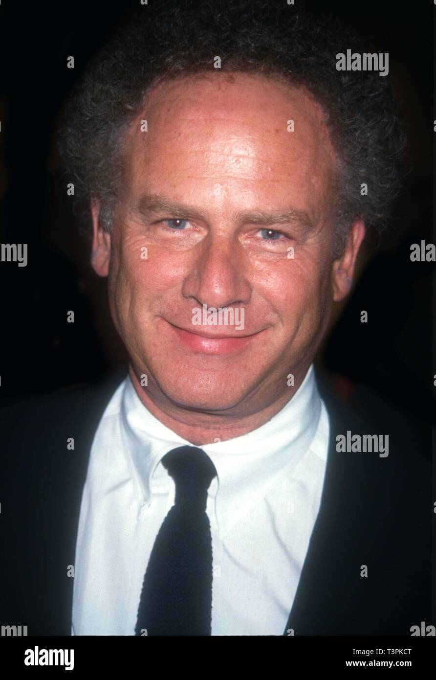 Art Garfunkel 1993 foto da John Barrett/il PHOTOlink /MediaPunch Foto Stock