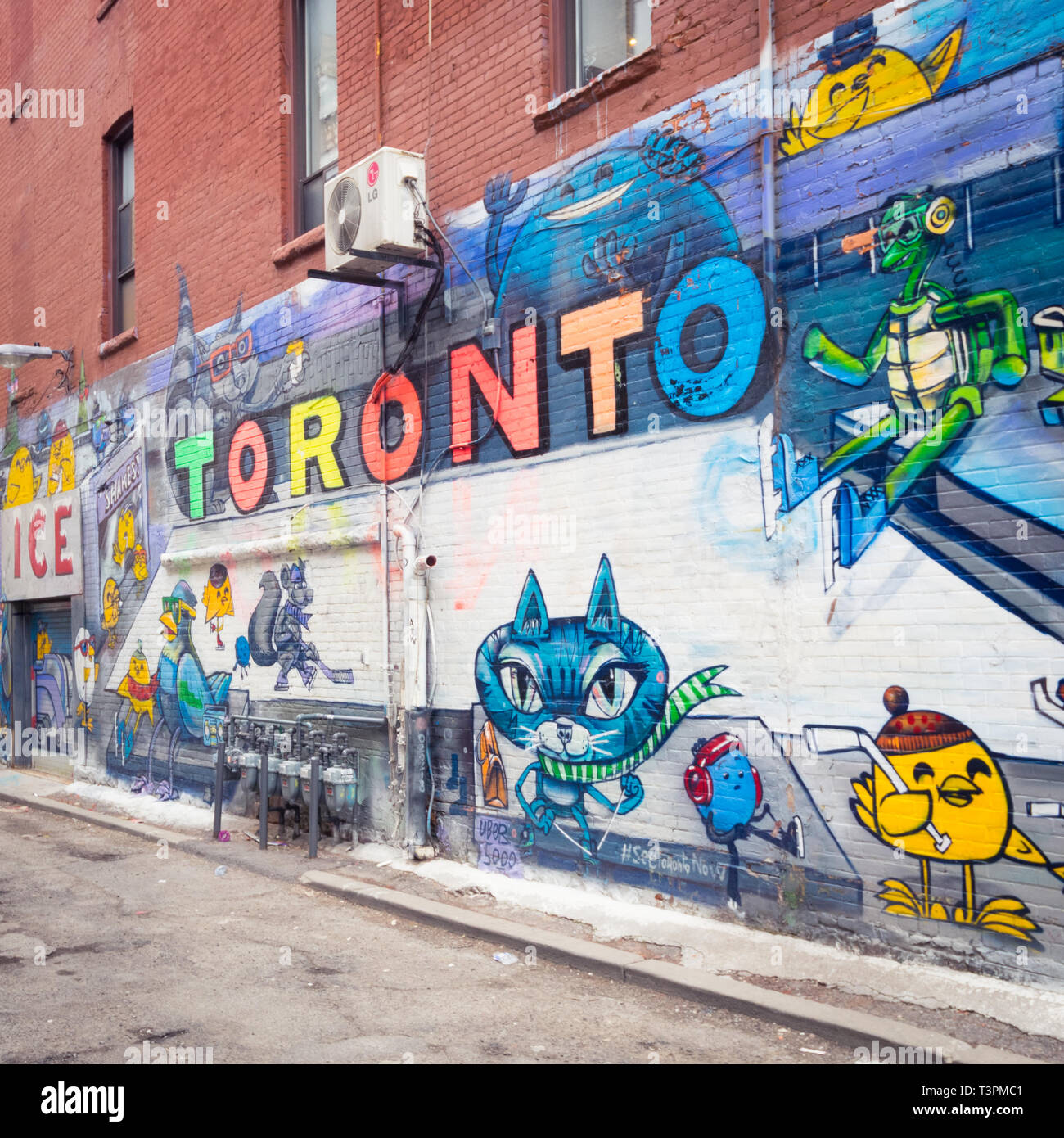 Brillante arte urbana e i murales Graffiti Alley (Rush Lane), in Queen Street West, distretto di Toronto, Ontario, Canada. Foto Stock