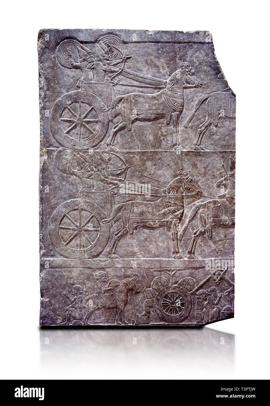 Pietra scolpita in rilievo pannello di aa carro assira. Dal palazzo di Assurbanipal sala VI/T1, Nimrud, terzo trimestre del VIII secolo a.c. inv 199 Foto Stock