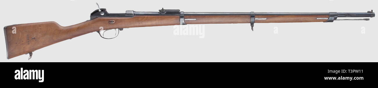 Armi di servizio, Baviera, Werder fucile M 1869, vecchio stile, calibro 11 mm, numero 18473, Additional-Rights-Clearance-Info-Not-Available Foto Stock