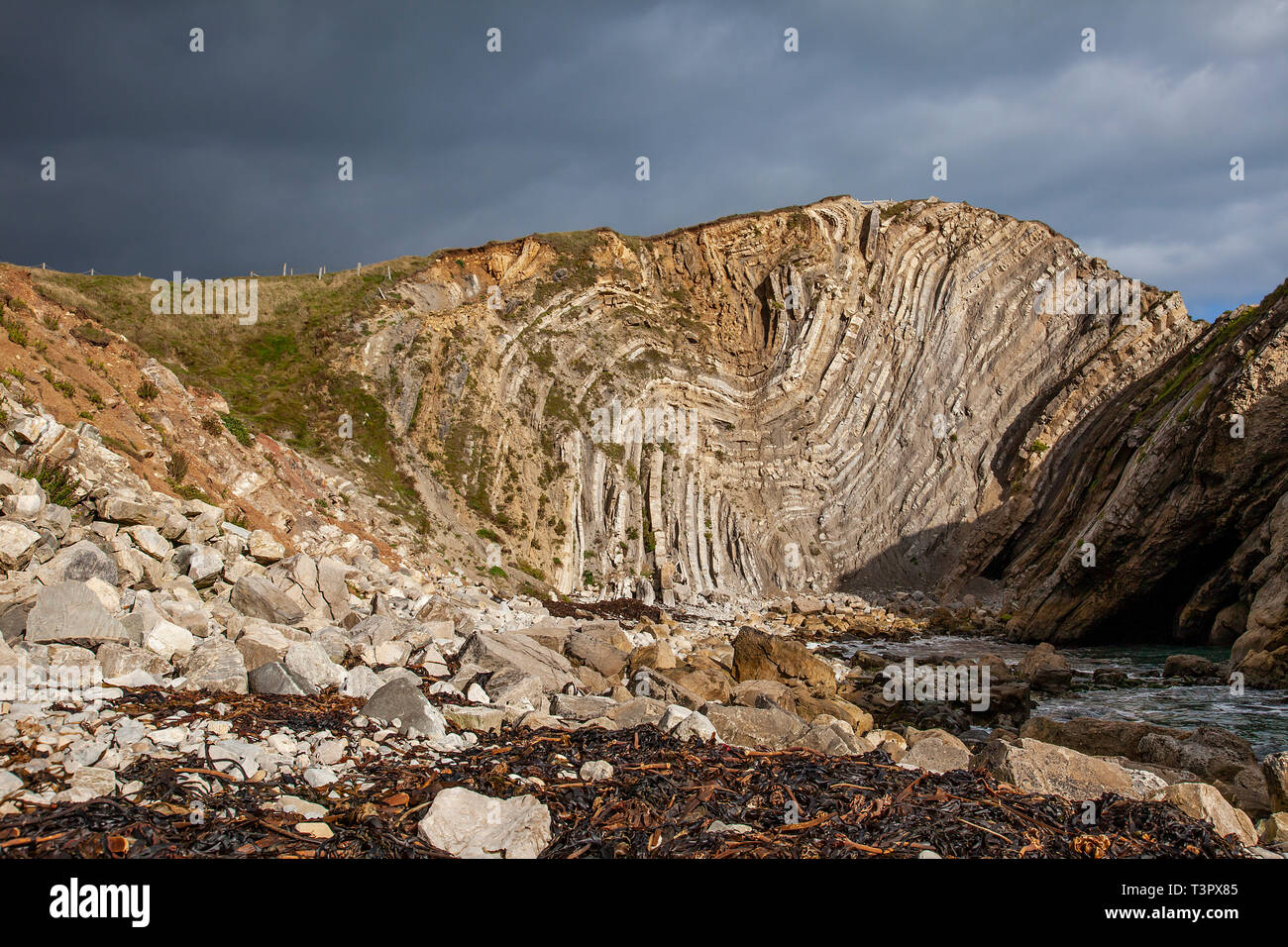 Famoso strati di roccia in roccia Stairhole, Lulworth Cove, Dorset UK, chiamato Lulworth crumple, e causato dalla piastra continentale movimenti. Foto Stock