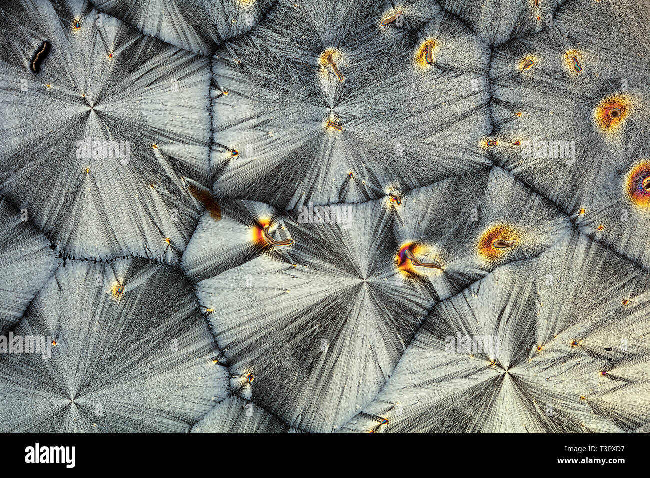 Vitamina C - acido ascorbico cristalli sotto luce polarizzata. Foto Stock