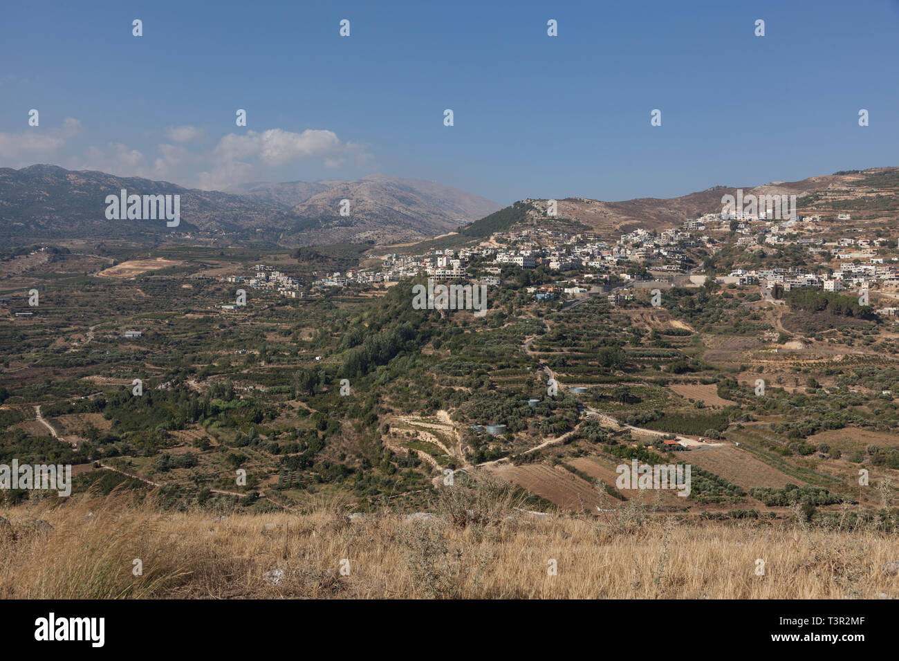 Alture del Golan, nel nord di Israele Foto Stock